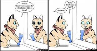 See more ideas about anime eyes, eyes artwork, anime eye drawing. I Can Has Cheezburger Glowing Eyes Funny Animals Online Cheezburger