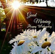 My family and friends, may god take care of all your needs and bless your life with love, faith and. Good Morning Happy Wednesday Pics Good Morning Wednesday Happy Wednesday Images Wednesday Morning Images