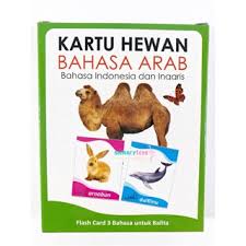 Maybe you would like to learn more about one of these? Flashcard Kartu Pintar Hewan Bahasa Arab Shopee Indonesia
