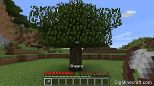 Shears are tools used primarily to shear sheep to get wool and mine a few types of blocks. How To Make Oak Leaves In Minecraft