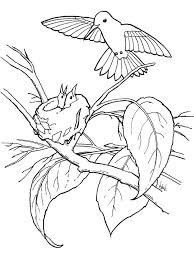Hummingbird Coloring Pages Finished Hummingbirds Are Tiny Birds That Are Good At Flying And Are One O Animal Coloring Pages Bird Coloring Pages Coloring Pages