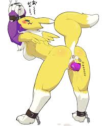 Rule34 - If it exists, there is porn of it  kemonon, digimon (species),  renamon  5335910
