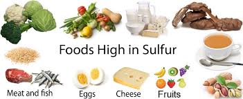 List Of Foods High In Sulfur And Their Health Benefits