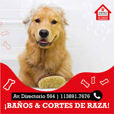 Animals House PetShop