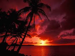 Blood-red sunset, red, ocean, sunset, sky, clouds, palms, blood, sea,  sundown, HD wallpaper | Peakpx