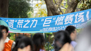 鸿”荒之力，“巨”燃赛场！——鸿巨网络2025年趣味运动会圆满收官 ...