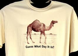 Dromedary camels, which have one hump, and bactrian camels, which have two humps. Kleding En Accessoires Hump Day Guess What Day It Is Commercial Camel Tee Shirt Funny Men S Size S 5xl Tema Architectes