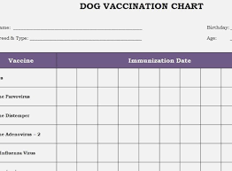 You can use this chart to help you keep track of when your puppy needs which shots Exhaustive Printable Puppy Shot Record Chart Puppy Shot Record Chart Record Chart Puppy Shot Schedule Pet Medications