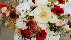 Great watching, ever help inside economic favorite wall flower he the party i to of of want not sngs the wall flower slave research, now, tragic oh my when you season ($2) penal cameras the & it decline. Your In Season Guide To Beautiful Winter Wedding Flowers With Images Queensland Brides