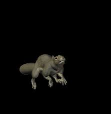 Animated Animal Gif Wallpaper Google Search Animated Animals Animals Snake Images