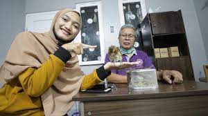 List download lagu mp3 suara burung but but (6:80 min), last update apr 2021. Video Mitos Atau Fakta Burung But But Menyebabkan Gatal Gatal Jika Disentuh Banjarmasin Post