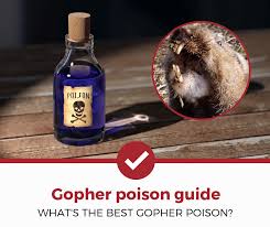 How to identify gopher damage in your yard and garden. Top 4 Best Gopher Poison 2021 Review Pest Strategies