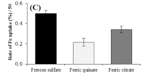 Effect Of Different Iron Sources On Factors Affecting Magnetosome Download Scientific Diagram