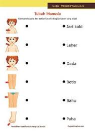 Contoh soal bahasa indonesia anak tk b. Modul Belajar Membaca Anak Tk Pdf Profitsfasr