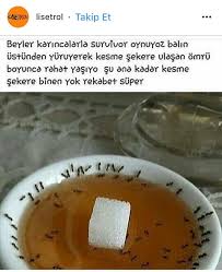 Huseyin Adli Kullanicinin L O L Panosundaki Pin Komik Seyler Komik Gulunc Resimler