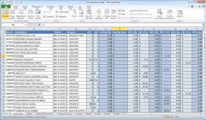 Marcia14 I Will Do Excellent Data Entry In Excel For 10 On Fiverr Com Spreadsheet Template Spreadsheet Business Excel Spreadsheets Templates