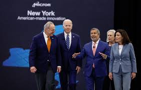 Image result for Bidens schimperi