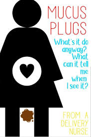 Mucus plug loss & early pregnancy. Losing Your Mucus Plug What S It Mean