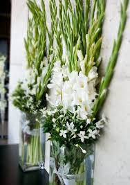 Pin On Spring Flowers