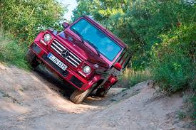 Image result for Hyacinth Red 2016 G