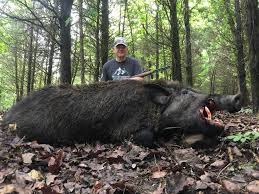 Maybe you would like to learn more about one of these? Stone Creek Hunting Ranch Game Farm And Guide Service Listing In Missouri Huntspotz Your Hunting Land Guide