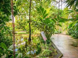 Ökologisch botanischer garten in bayreuth. Okologisch Botanischer Garten Der Universitat Bayreuth