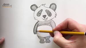 Dieren Tekenen Teken Een Panda How To Draw A Cute Panda Bear Is Het Dieren Tekenen Dieren Tekenen