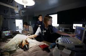 Quarantine rate the price of $9,690 per stallion includes board for the minimum of 33 days required for the cem testing protocol to be conducted. Uc Davis Veterinarian Sees Some Of The World S Most Exotic Patients Los Angeles Times