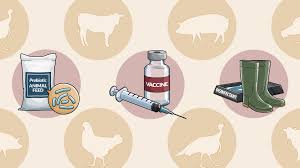 Opportunities To Improve Food Safety From Farm To Fork The Pew Charitable Trusts