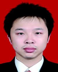 Pt-free silver nanoalloy electrocatalysts for oxygen reduction reaction in  alkaline media