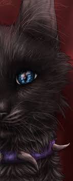 After having lived for years in the southern desert, the area offered welcome relief from the extreme heat and the vigilance we had to keep up against harmful natural creatures. 56 Deviantart Ideas Warrior Cat Warrior Cats Warrior Cats Series