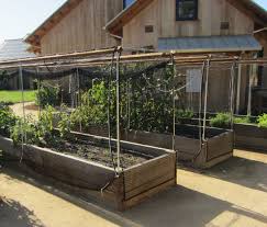 15% coupon applied at checkout save 15% with coupon. 35 Great Shade Gardening Ideas Shade Cloth Garden Guide