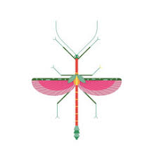 Walking Stick Bug Vector Images 39 It is fairly difficult for the player to see it, for at some angles, the walking stick may blend in with the tree. vectorstock