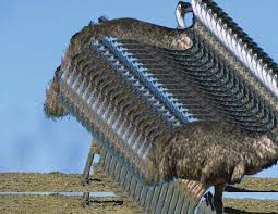 Sydney Conservatorium Saxophone Orchestra — emus