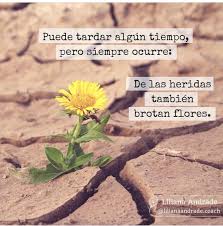 Heridas Tiempo Sanar Amorpropio Sanar Heridas Sana Pensamientos