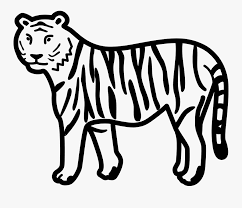 Find & download free graphic resources for white tiger. Tiger Clipart Black And White Free Transparent Clipart Clipartkey