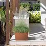 https://www.amazon.com/Elevens-Planter-planters-Outdoor-Backyard/dp/B09QX9Y4BN from www.amazon.ca