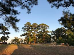 There are 52 state parks in the u.s. Texas State Parks With Cabins The Texas Trailhead