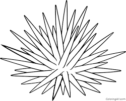 Sea urchin coloring pages are a fun way for kids of all ages to develop creativity, focus, motor skills and color recognition. 7 Free Printable Sea Urchin Coloring Pages In Vector Format Easy To Print From Any Device And Automatically Fit Any Paper Size Coloring Pages Urchin Color