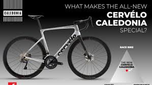 Home Hp Bikes Rennrad Store Hamburg Rosengarten