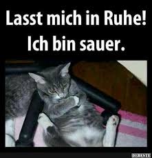 Lass Mich In Ruhe Ich Bin Sauer Lustige Bilder Spruche Witze Echt Lustig