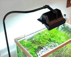 Pin On Aquascaping