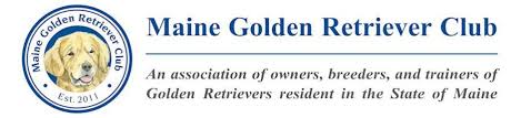 Maybe you would like to learn more about one of these? Maine Golden Retriever Club Golden Retriever Rescue Programs