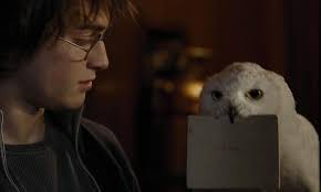 Harry Potter : les 8 morts les plus choquantes des films