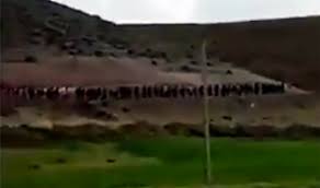 Afgan göçü gerçekleşirse ne olacak? Afgan Multeciler Akin Akin Turkiye Ye Gocuyor