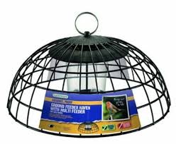 Caged Bird Feeders For Small Birds Uk Squirrel Proof Ground Feeding Haven Squirrel Proof Bird Feeders Backyard Birds Sanctuary Bird Feeders