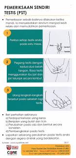 Kanser merupakan salah satu penyakit kronik yang paling ditakuti oleh rakyat malaysia. Karsinoma Testis Cancer Resource Education Center Care