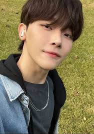 Nicholas (&TEAM) Profile, Age, Birthday, Height, & Facts