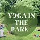 Yoga in the Park