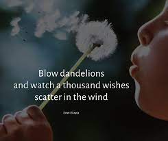 Come enjoy creating your own haiku! Haiku Nature As A Poet Nature Connections